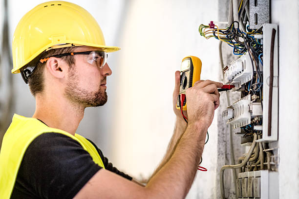 Best Electrical Panel Upgrades  in Defiance, OH